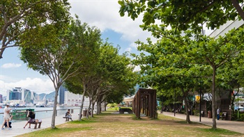 The park’s simple but functional design is successful in providing spaces for a variety of activities. Here the tree-lined avenue with benches and shade structures creates a lush and shaded resting place for visitors.